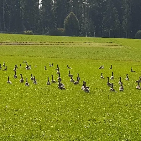 Am Kirnbergsee Unterbrand